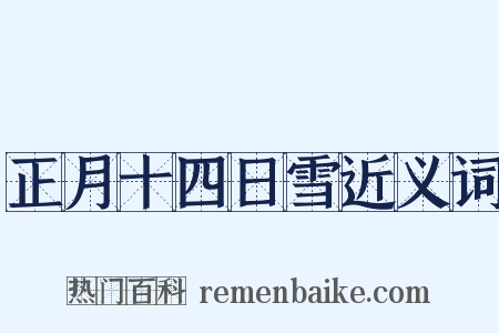 正月十四日雪近义词是什么意思的图片